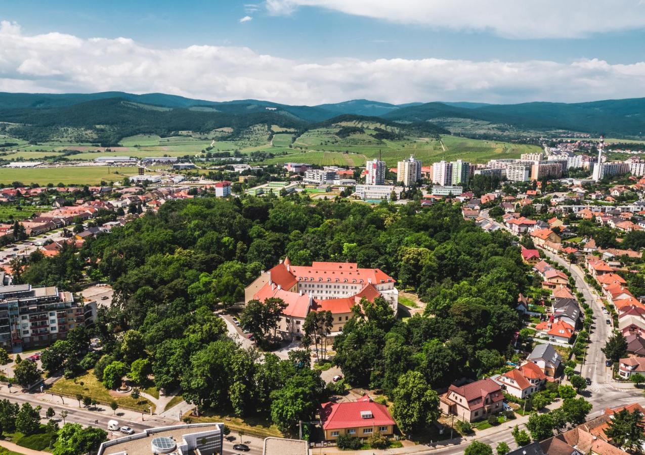 Palace Art Hotel Пежинок Екстериор снимка